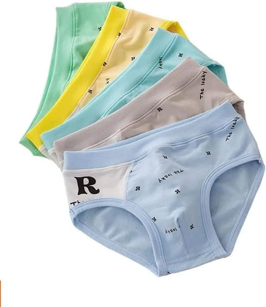 Boys Cotton Briefs | Cute Dinosaur Print Kids Underwear (Pack of 4)